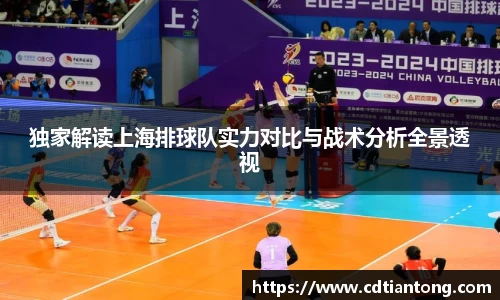 独家解读上海排球队实力对比与战术分析全景透视