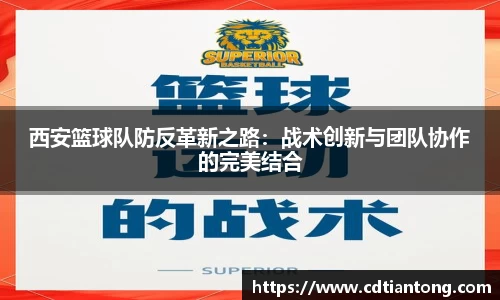 西安篮球队防反革新之路：战术创新与团队协作的完美结合